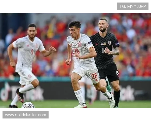 加维伤病史详解